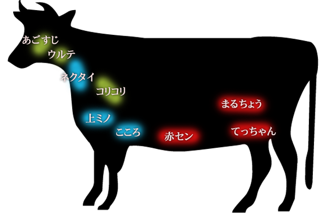 人気ホルモン
